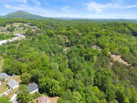 162 Greenview Court Cleveland GA 30528