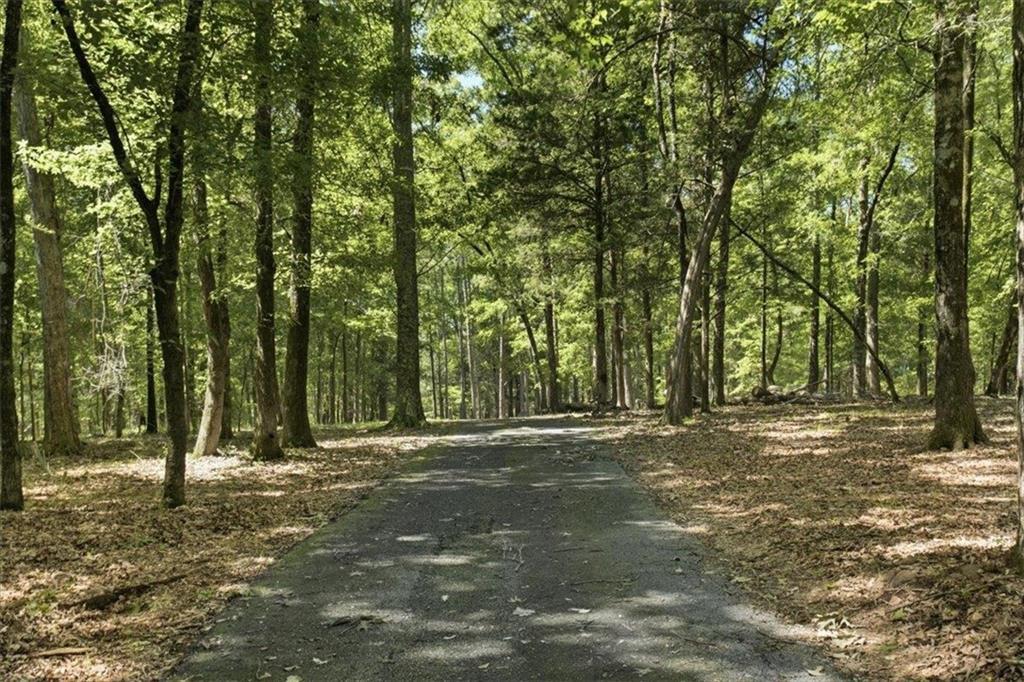 21 River Road Woodland GA 31836