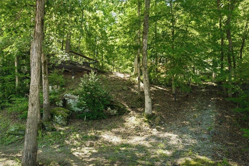 21 River Road Woodland GA 31836