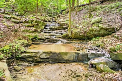 285 Julep Circle Ellijay GA 30540