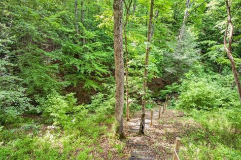 285 Julep Circle Ellijay GA 30540