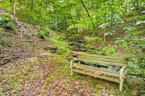 285 Julep Circle Ellijay GA 30540