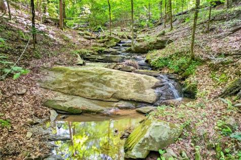 285 Julep Circle Ellijay GA 30540