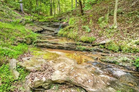 285 Julep Circle Ellijay GA 30540