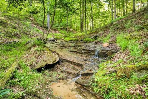 285 Julep Circle Ellijay GA 30540