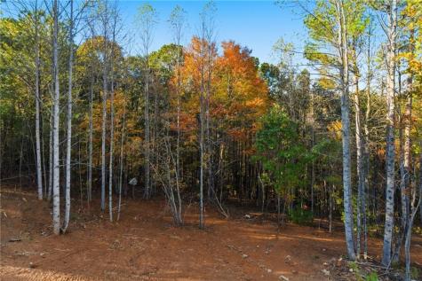 165 Field Stone Circle Jasper GA 30143