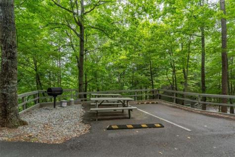 135 Wolfscratch Drive Big Canoe GA 30143
