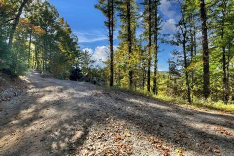 Lt 123 Bell Camp Ridge Road Blue Ridge GA 30513