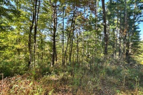 Lt 123 Bell Camp Ridge Road Blue Ridge GA 30513