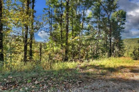 Lt 123 Bell Camp Ridge Road Blue Ridge GA 30513