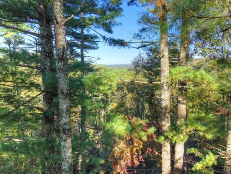 Lt 123 Bell Camp Ridge Road Blue Ridge GA 30513