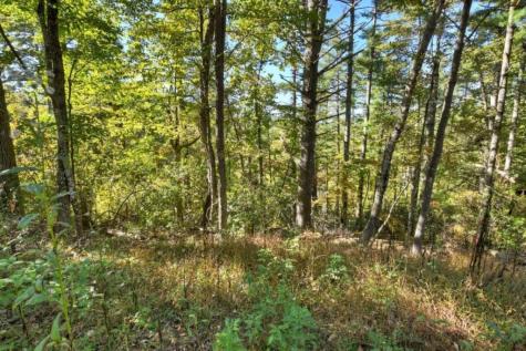 Lt 123 Bell Camp Ridge Road Blue Ridge GA 30513