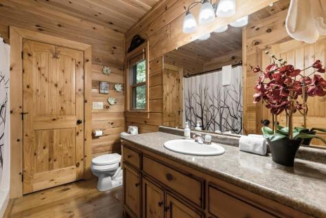 43 Jason Martin Circle Cherry Log GA 30522