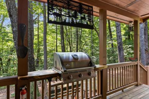 43 Jason Martin Circle Cherry Log GA 30522