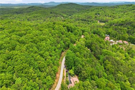 946 Laurel Circle Blue Ridge GA 30513