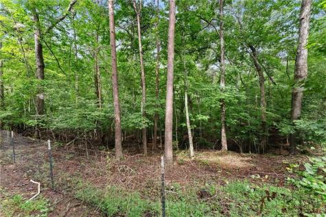 34 Somerset Place Dahlonega GA 30533