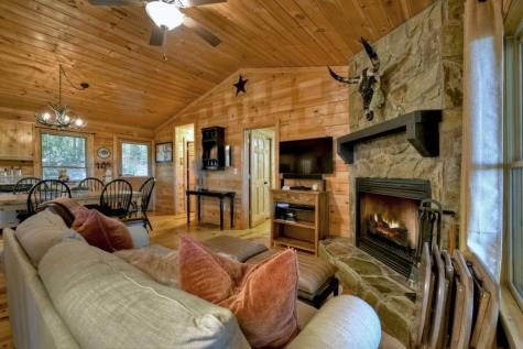 9 Joanna Court Cherry Log GA 30513