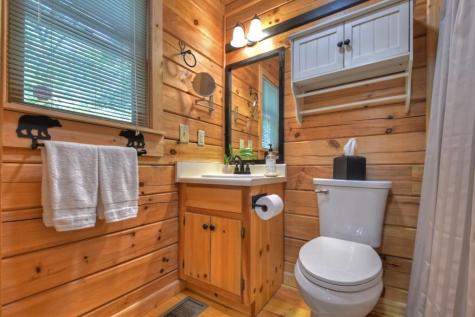 9 Joanna Court Cherry Log GA 30513