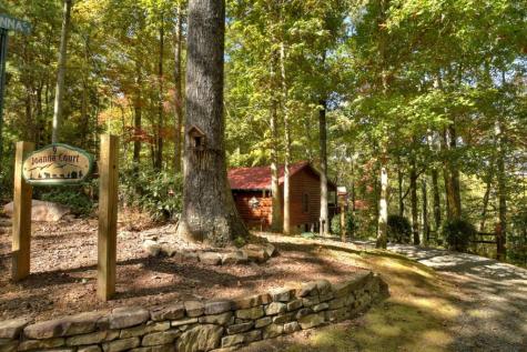 9 Joanna Court Cherry Log GA 30513