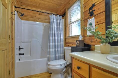 9 Joanna Court Cherry Log GA 30513