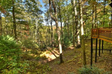 9 Joanna Court Cherry Log GA 30513
