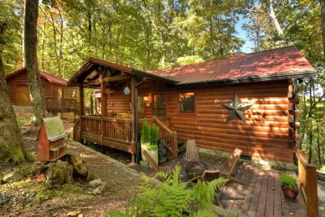 9 Joanna Court Cherry Log GA 30513