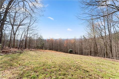 827 Laurel Ridge Road Cleveland GA 30528