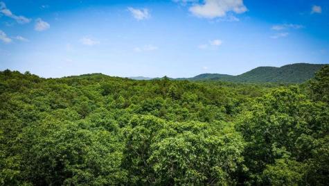 62 Tiffany Lane Mineral Bluff GA 30559
