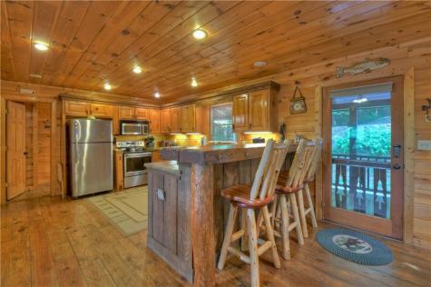 482 N Old Aska Road Blue Ridge GA 30513
