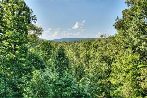 482 N Old Aska Road Blue Ridge GA 30513