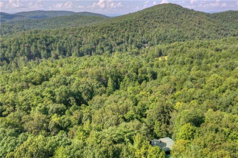 482 N Old Aska Road Blue Ridge GA 30513
