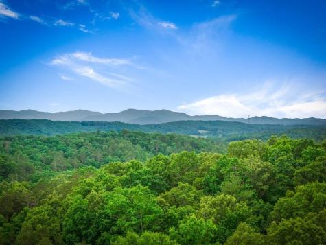 128 Ridge Brook Drive Morganton GA 30560