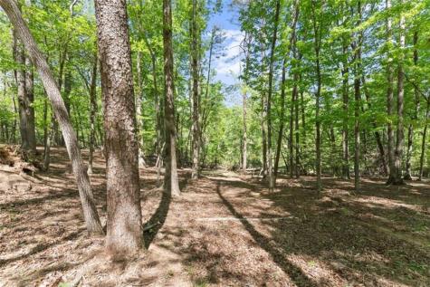 45 Holcomb Drive Cleveland GA 30528