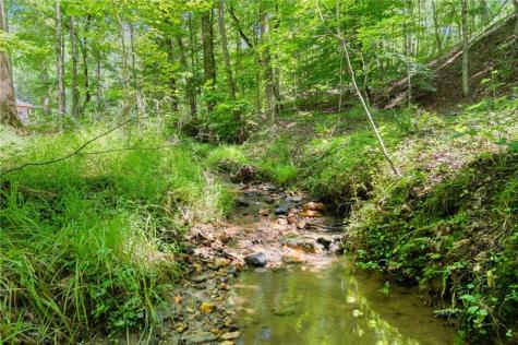 189 Peace Valley Road Dahlonega GA 30533
