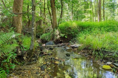 189 Peace Valley Road Dahlonega GA 30533