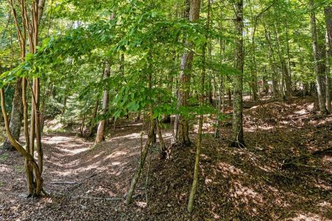 1247 Newport Drive Ellijay GA 30540