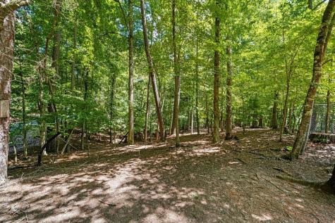 1247 Newport Drive Ellijay GA 30540
