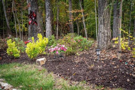 194 Cox Road Blue Ridge GA 30513