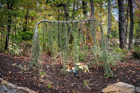 194 Cox Road Blue Ridge GA 30513
