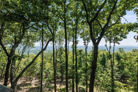 912 Mcelroy Mountain Drive Jasper GA 30143