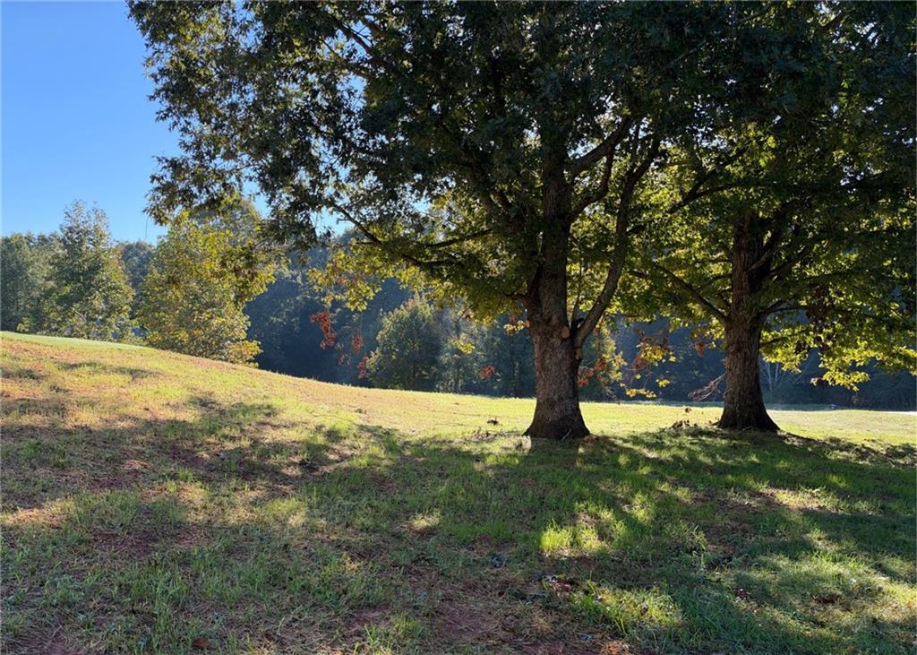 373 Stonington Drive Mount Airy GA 30563