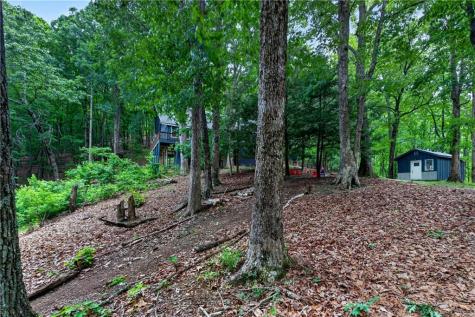 113 Lucerne Place Sautee Nacoochee GA 30571