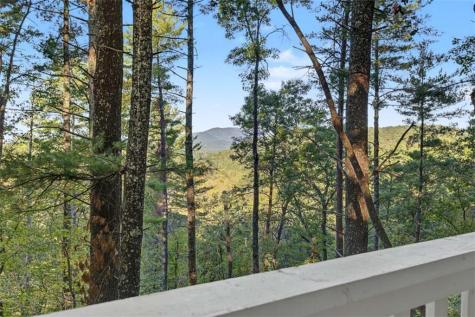 237 Little Rock Creek Court Cherry Log GA 30522
