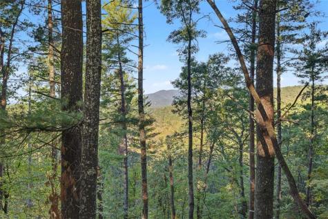 237 Little Rock Creek Court Cherry Log GA 30522