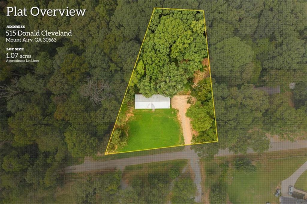 515 Donald Cleveland Road Mount Airy GA 30563