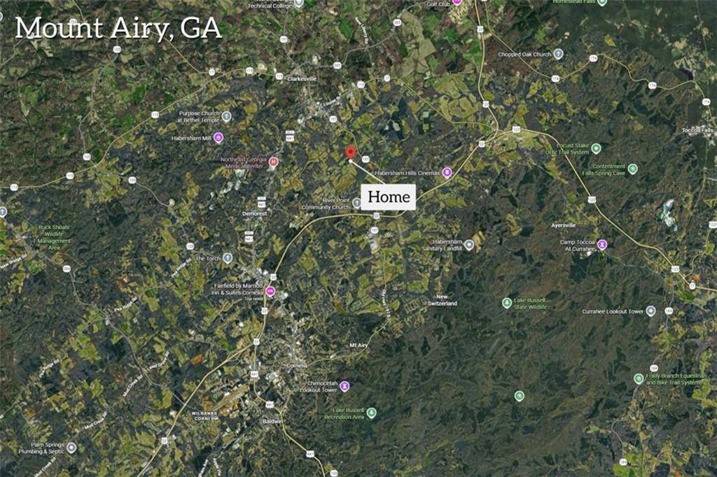 515 Donald Cleveland Road Mount Airy GA 30563