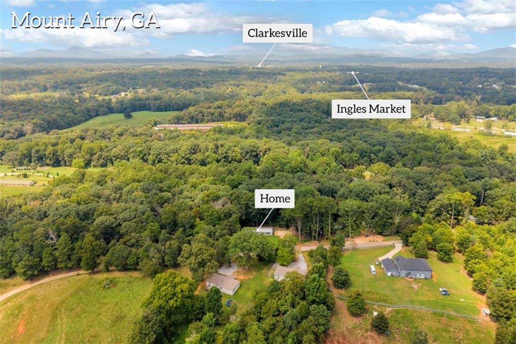 515 Donald Cleveland Road Mount Airy GA 30563