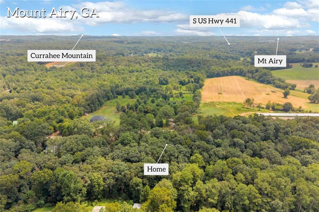 515 Donald Cleveland Road Mount Airy GA 30563