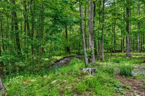 1 Thurmond Walker Road Dahlonega GA 30533