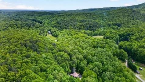 1 Thurmond Walker Road Dahlonega GA 30533